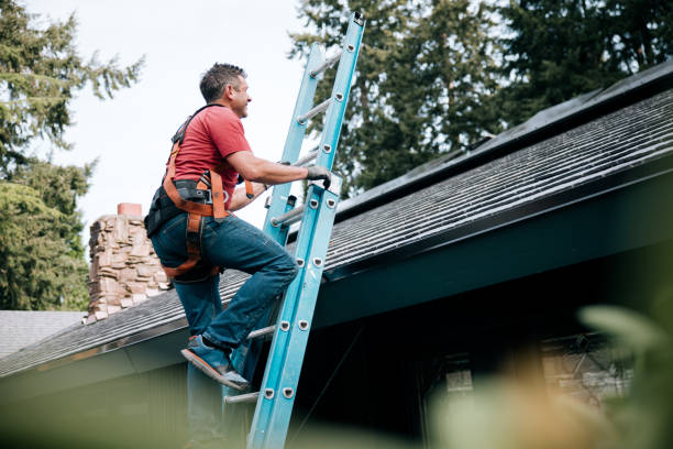 Best Gutter Installation and Repair  in Duncan, OK